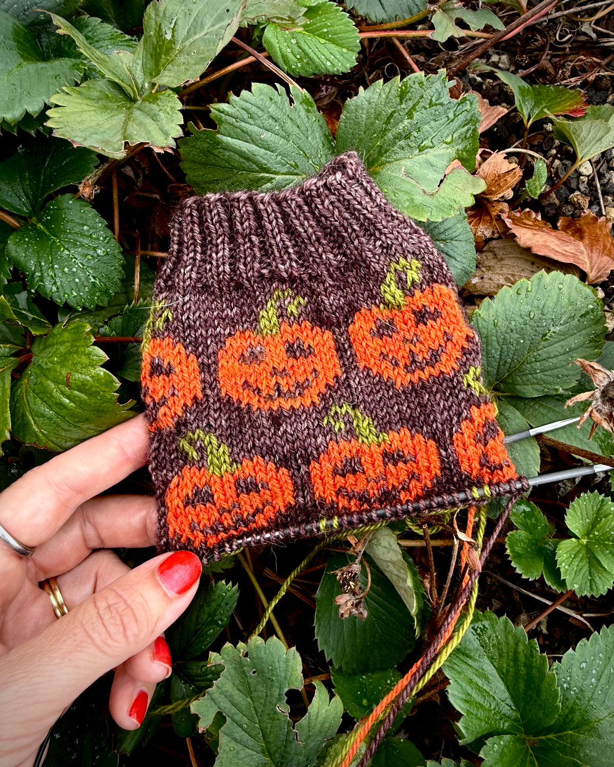 Digital Item - Cottage Pumpkin socks pattern set instructions. In English and German