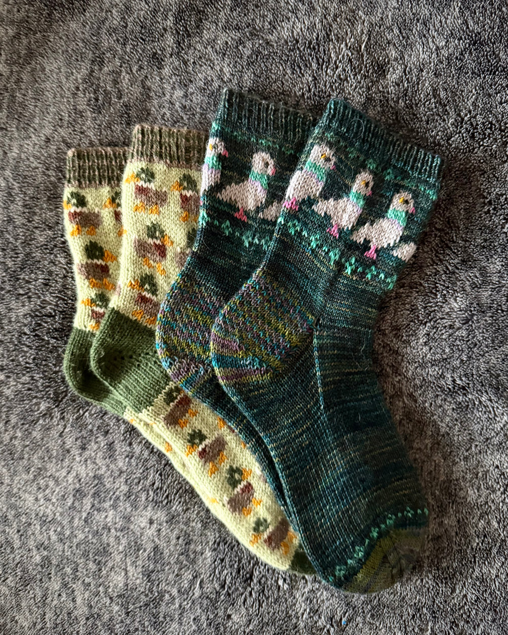 DIGITAL ITEM Bird Lovers sock set