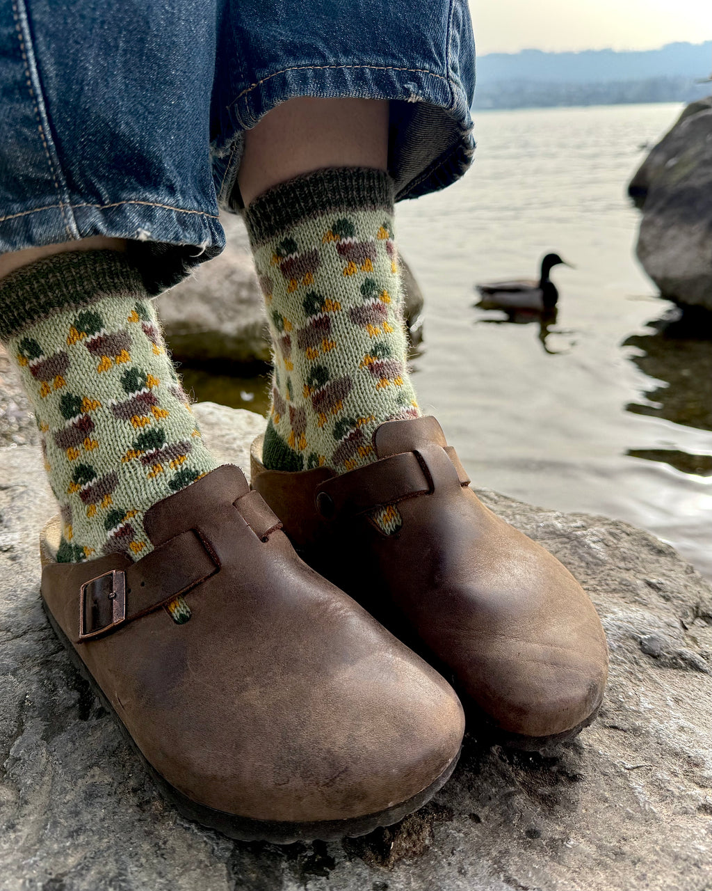 DIGITAL ITEM Bird Lovers sock set