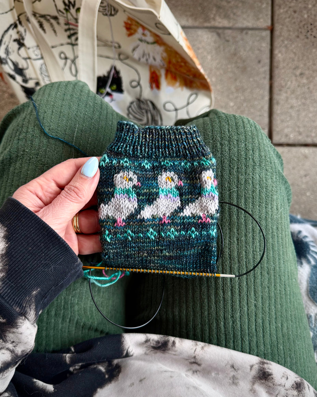 DIGITAL ITEM Bird Lovers sock set