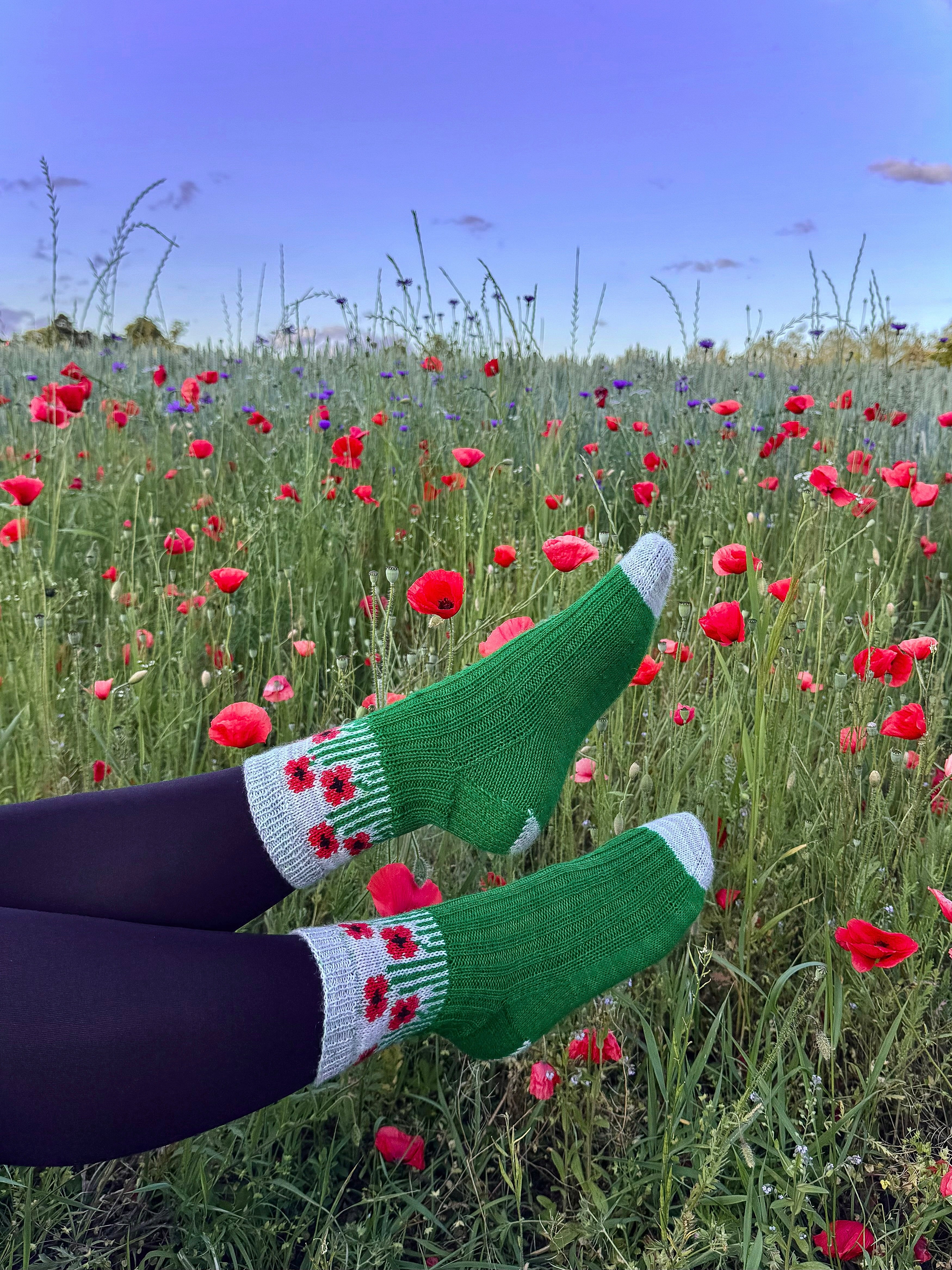 DIGITAL ITEM - Field of Poppies sock set. Knitting instructions in English & German.