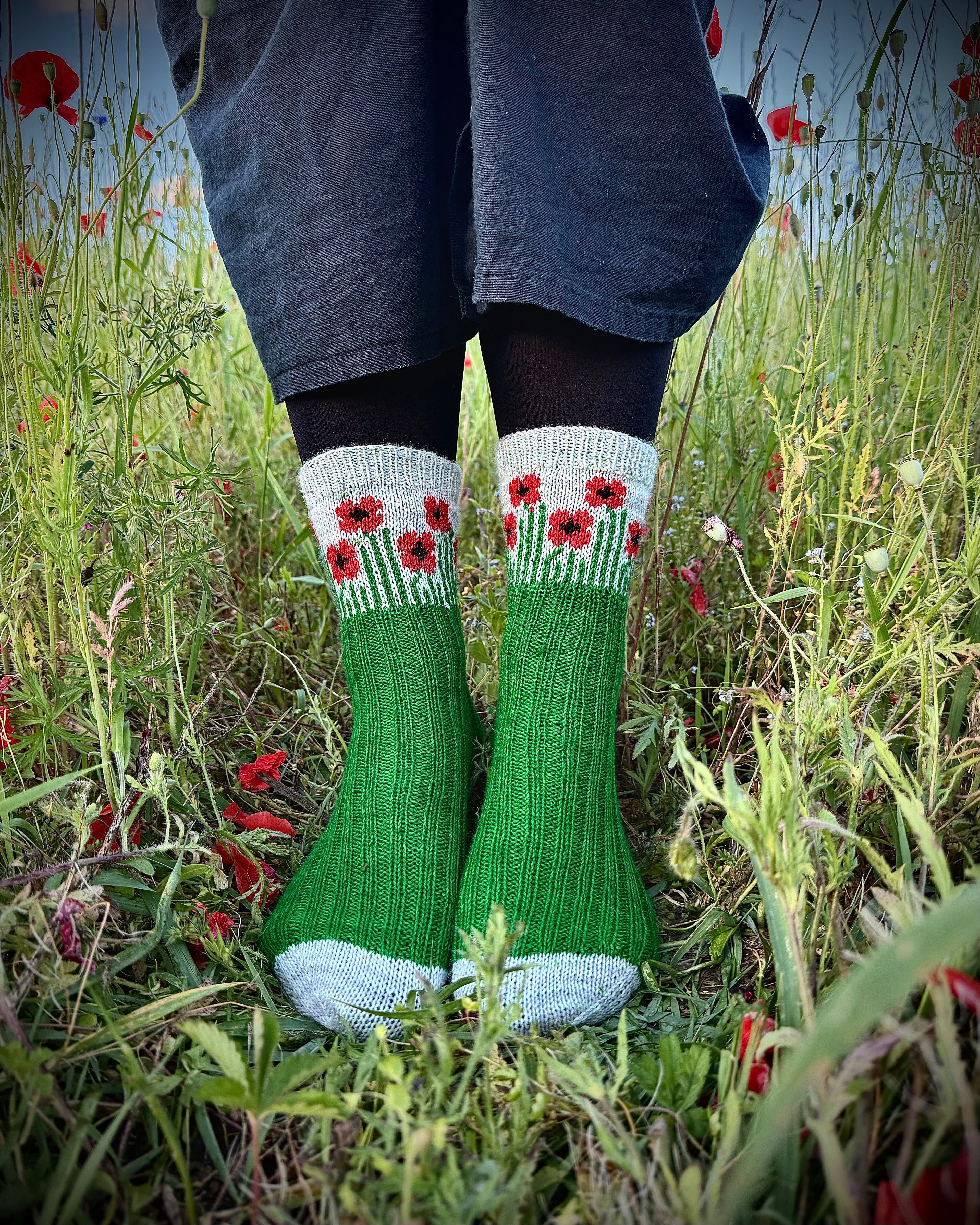 DIGITAL ITEM - Field of Poppies sock set. Knitting instructions in English & German.