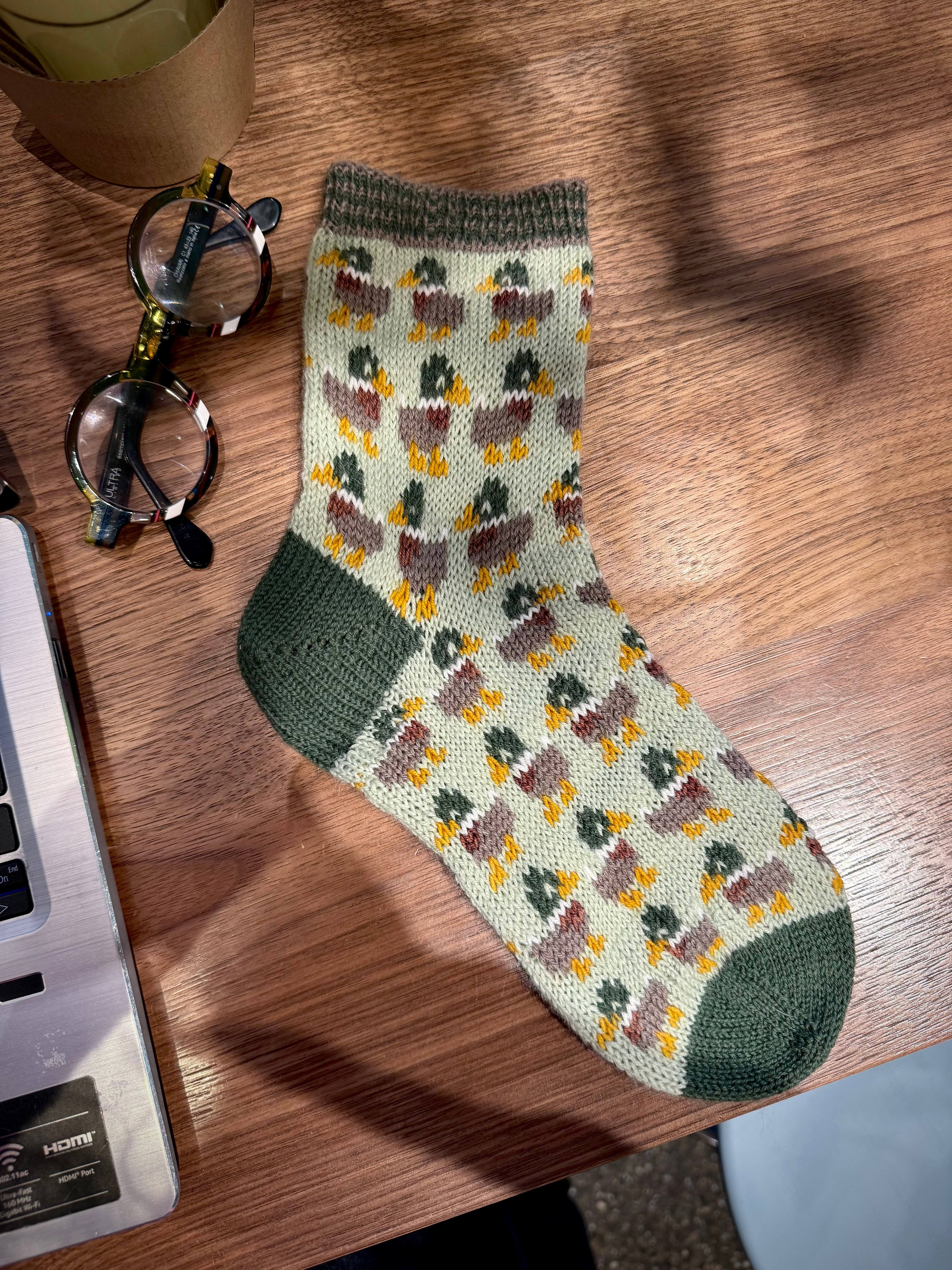 DIGITAL ITEM Bird Lovers sock set