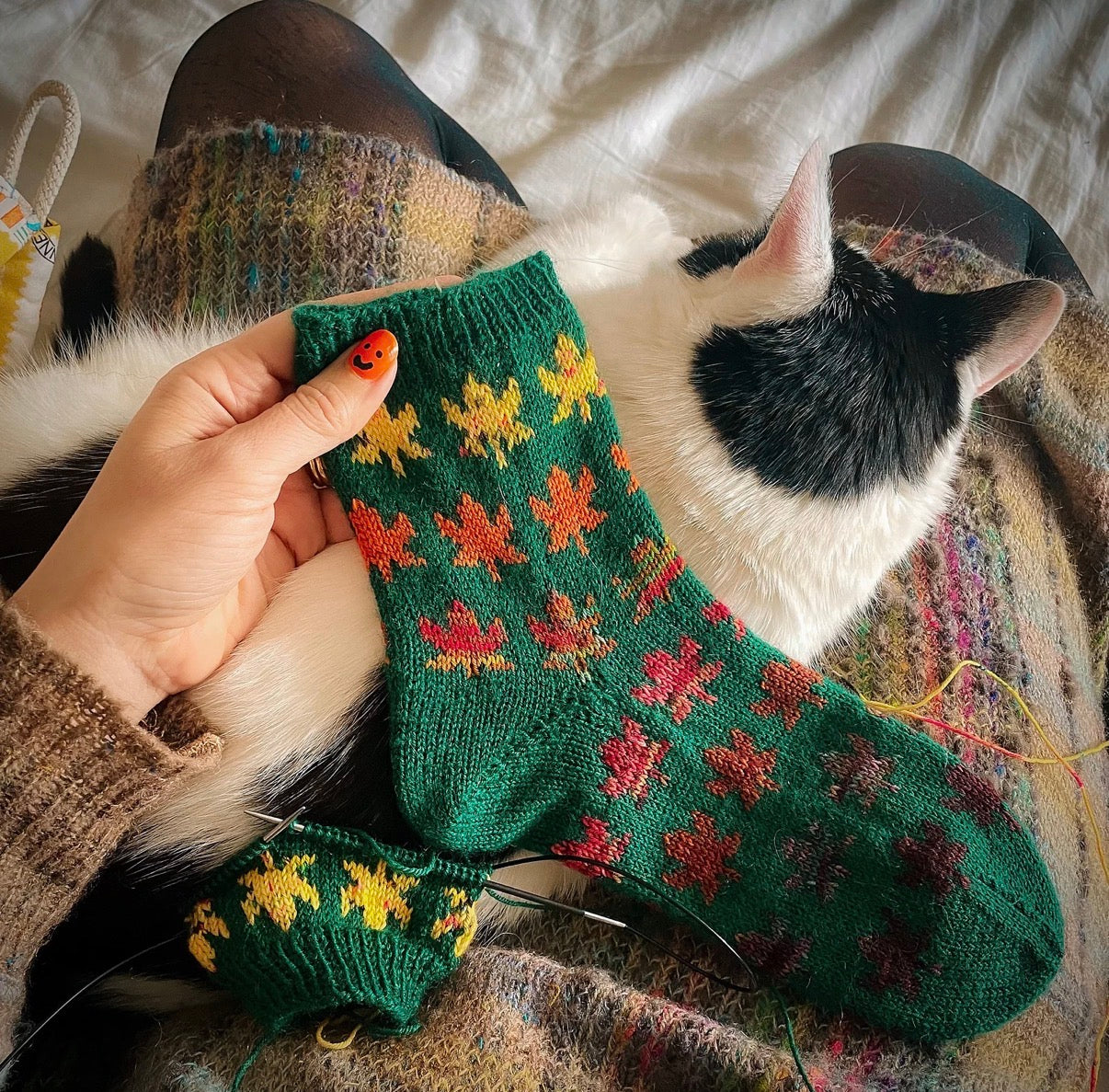 Forever Autumn socks pattern set