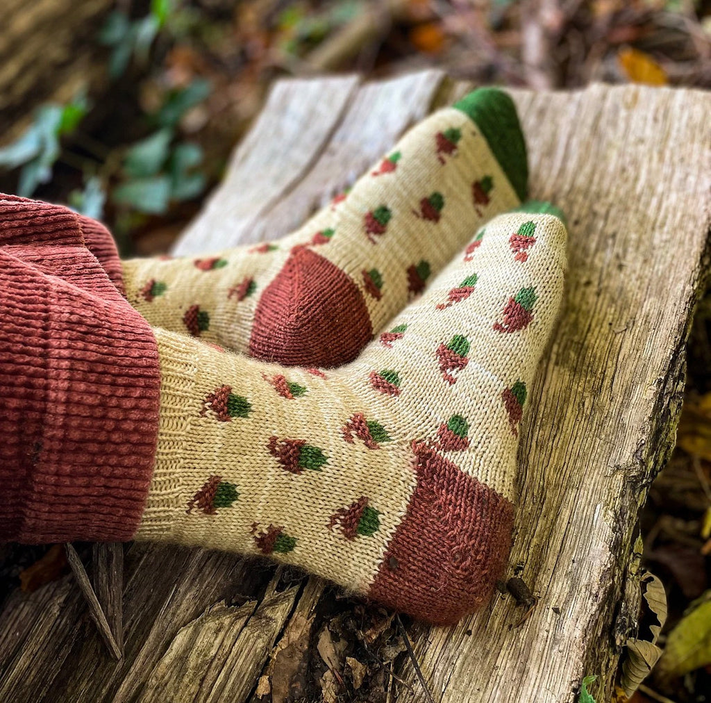 Forever Autumn socks pattern set