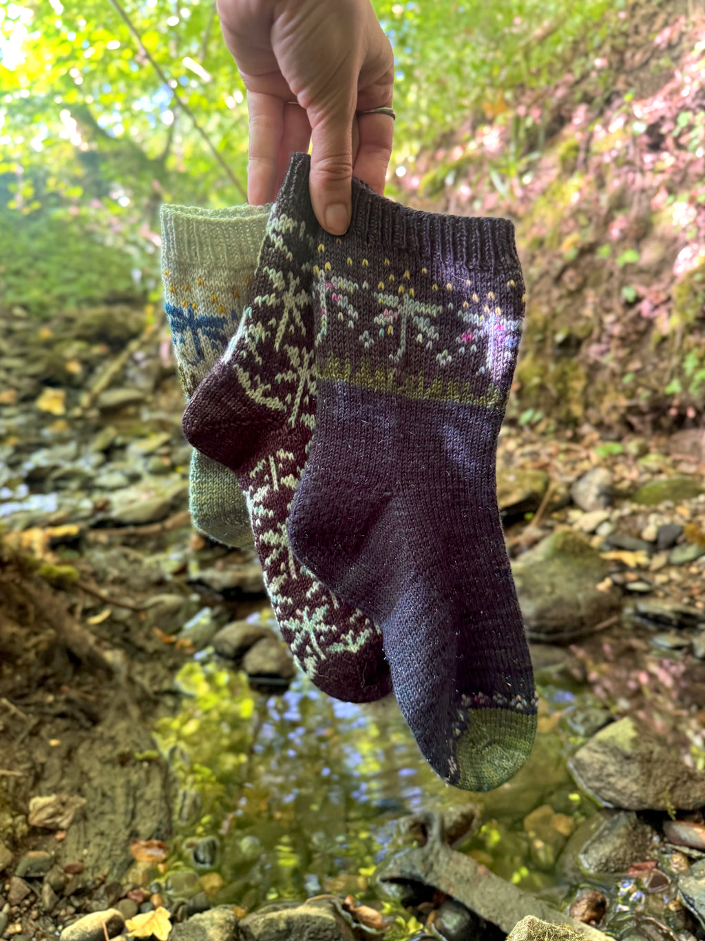 DIGITAL ITEM - Magical Dragonflies sock set