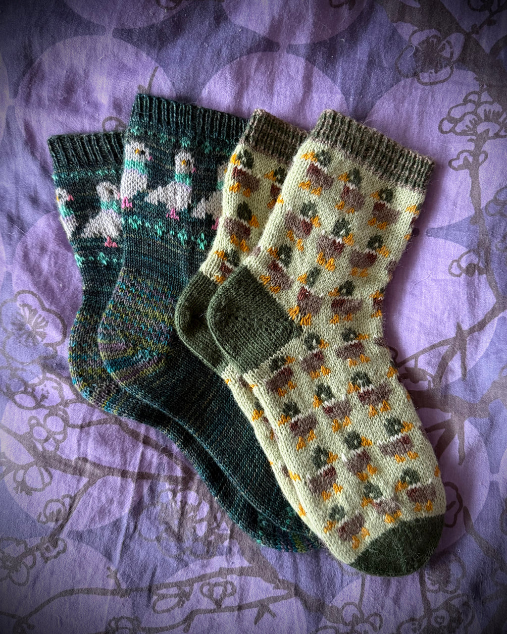 DIGITAL ITEM Bird Lovers sock set