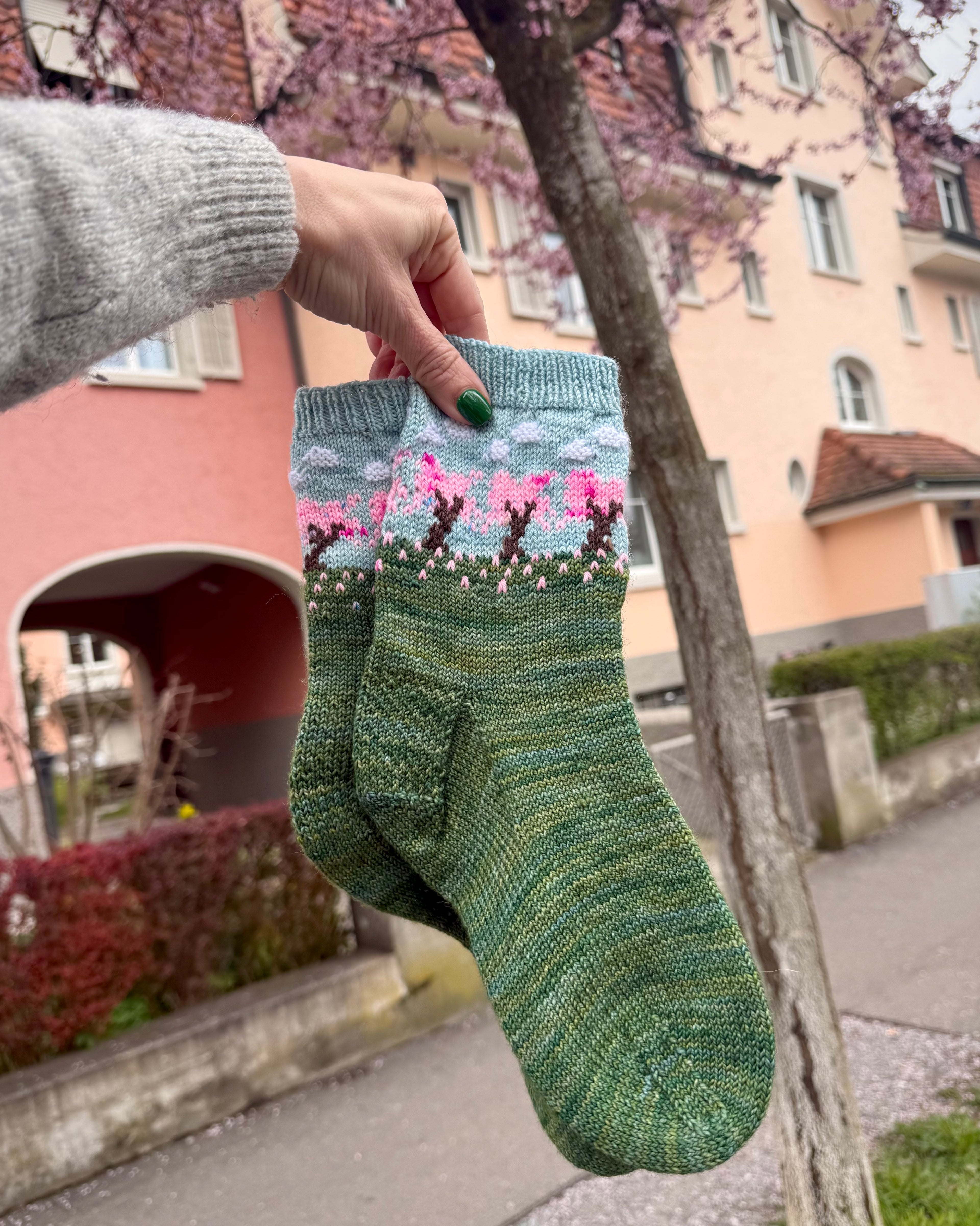 DIGITAL ITEM - Cherry Blossom sock set