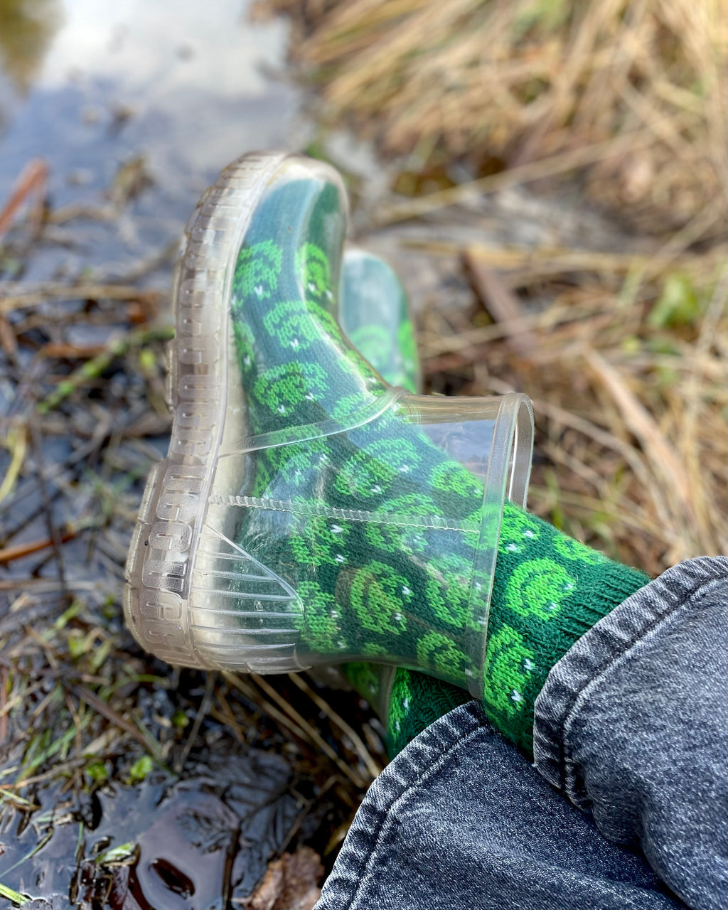 DIGITAL ITEM - Kiss A Frog socks