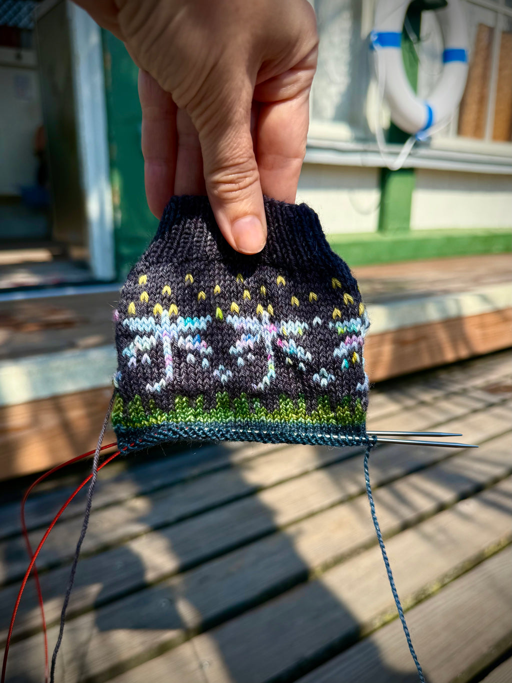 DIGITAL ITEM - Magical Dragonflies sock set