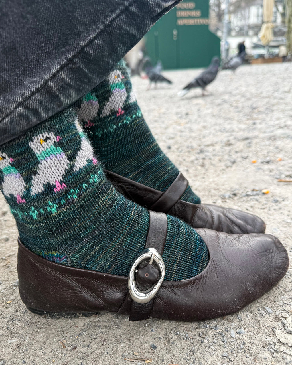 DIGITAL ITEM Bird Lovers sock set