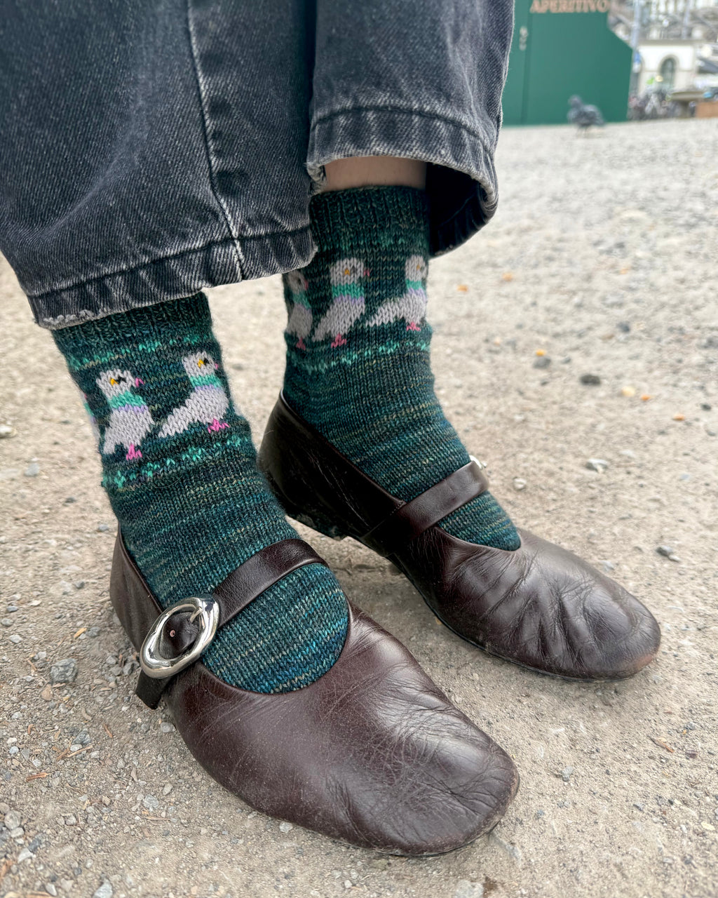 DIGITAL ITEM Bird Lovers sock set