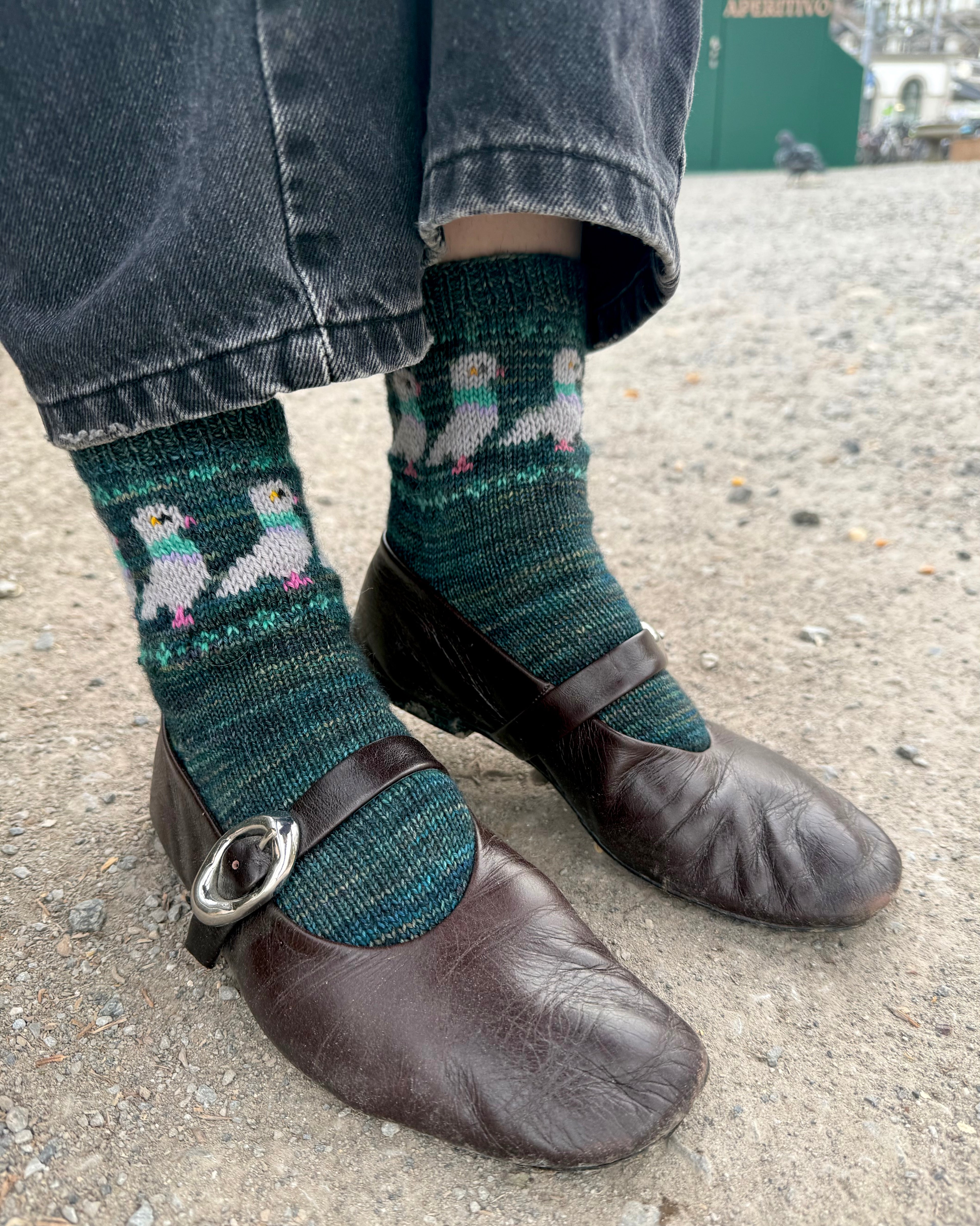 DIGITAL ITEM Bird Lovers sock set