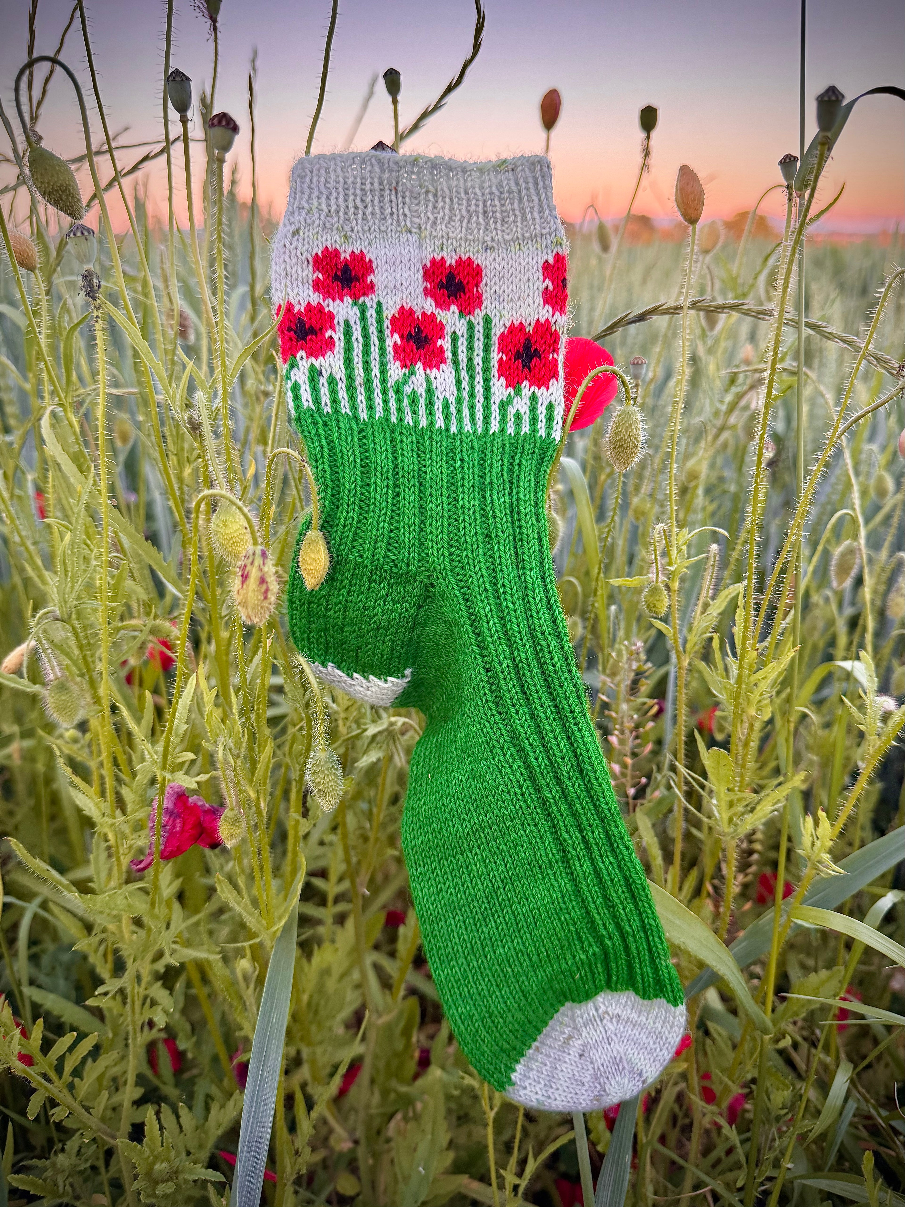DIGITAL ITEM - Field of Poppies sock set. Knitting instructions in English & German.