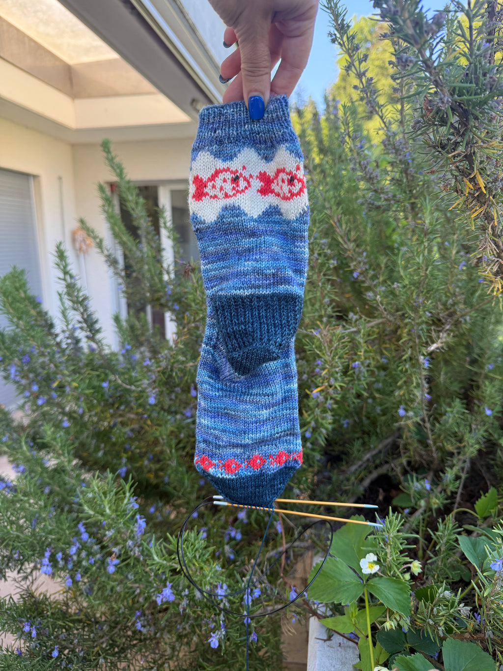 I Do Like To Be Beside the Seaside sock set