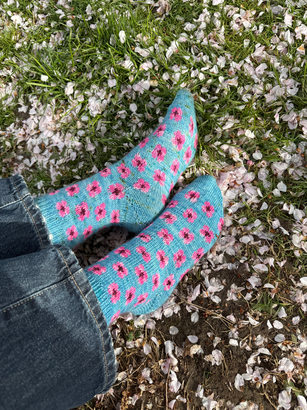 DIGITAL ITEM - Cherry Blossom sock set