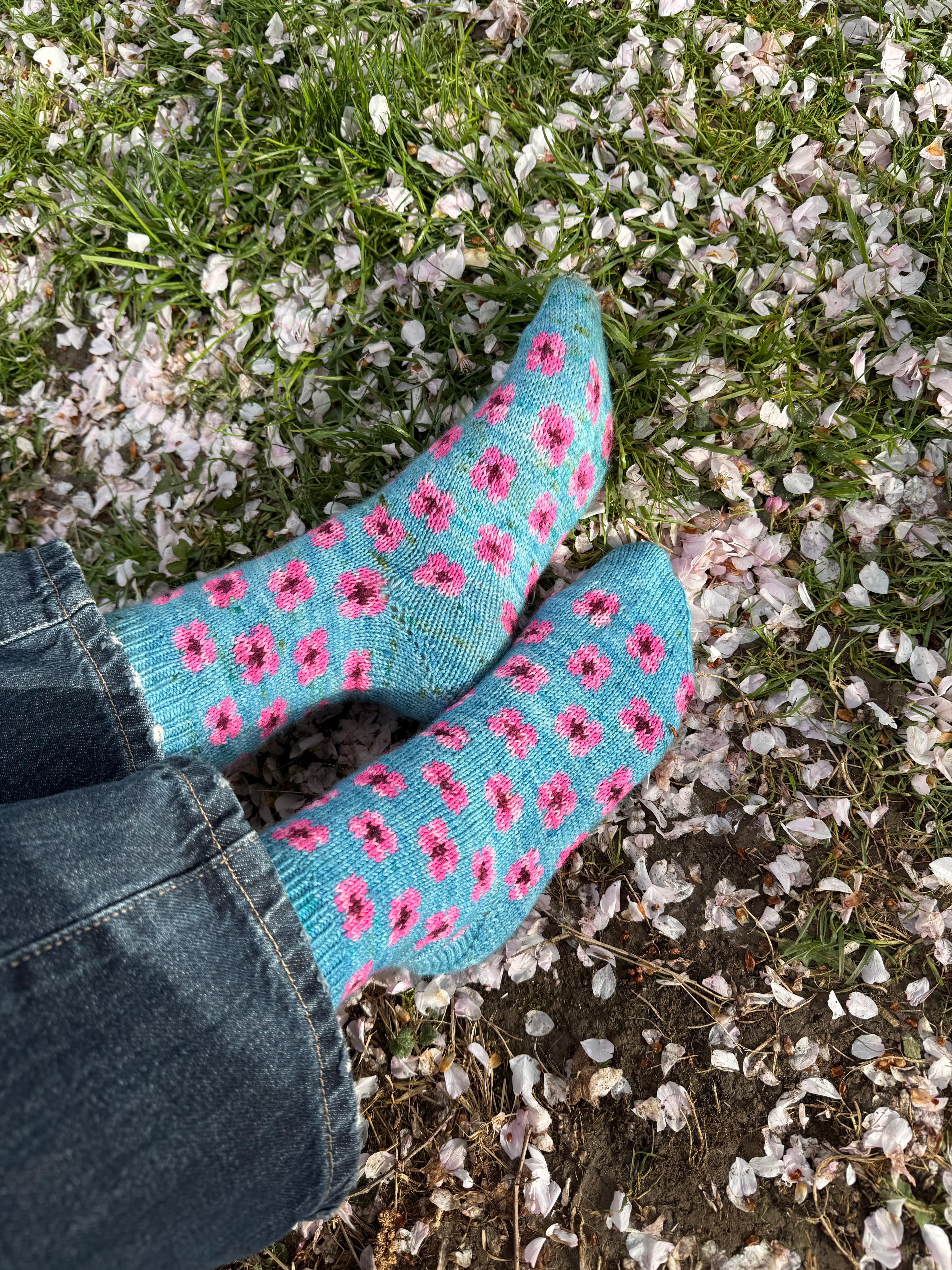 DIGITAL ITEM - Cherry Blossom sock set