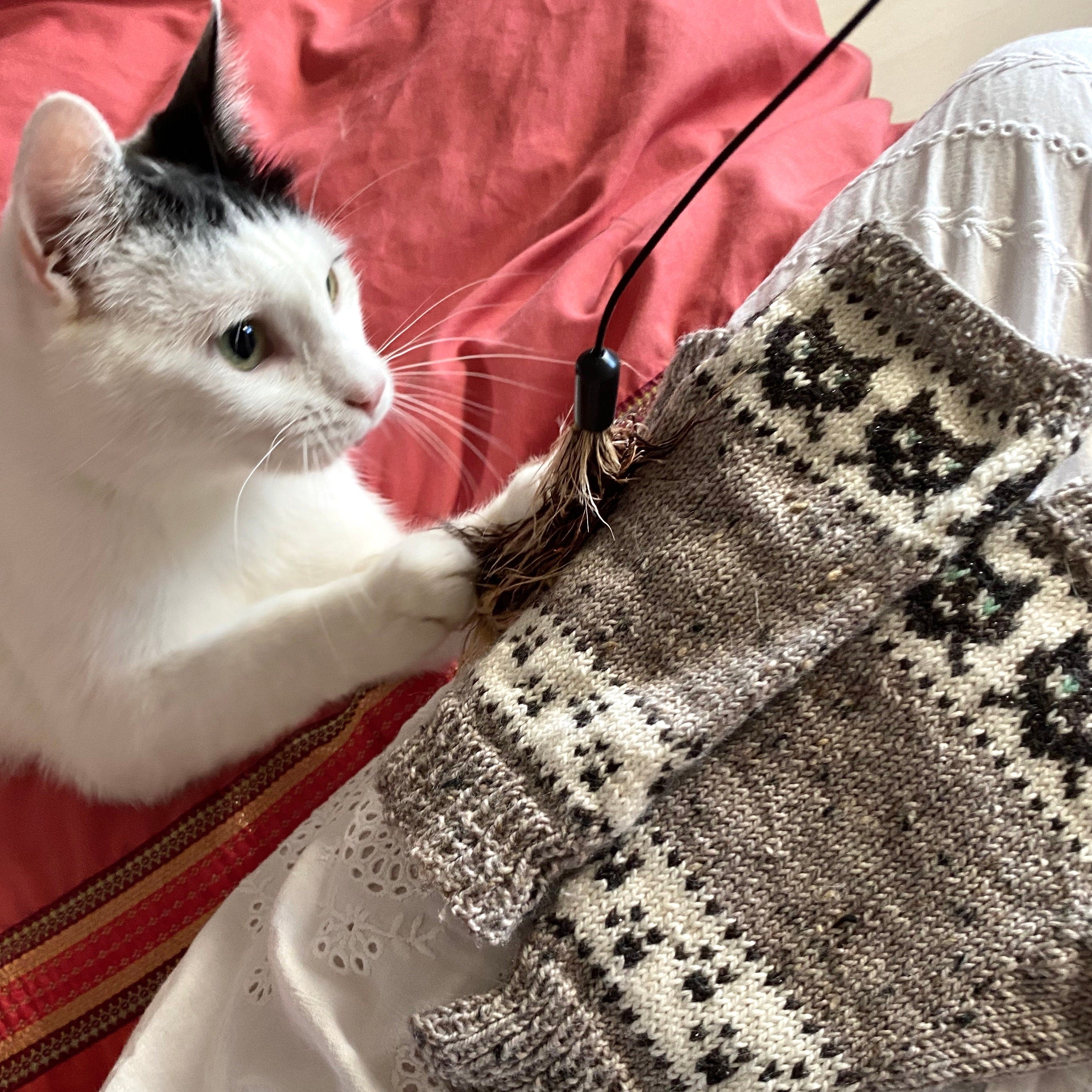 DIGITAL ITEM Sassy Cat mitts knitting instructions