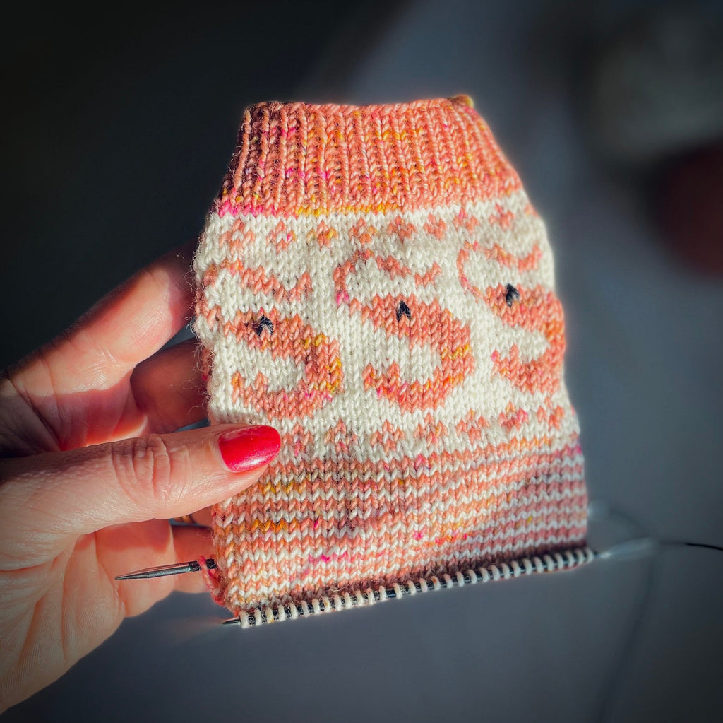 DIGITAL ITEM - Shrimply the Best socks PDF knitting pattern