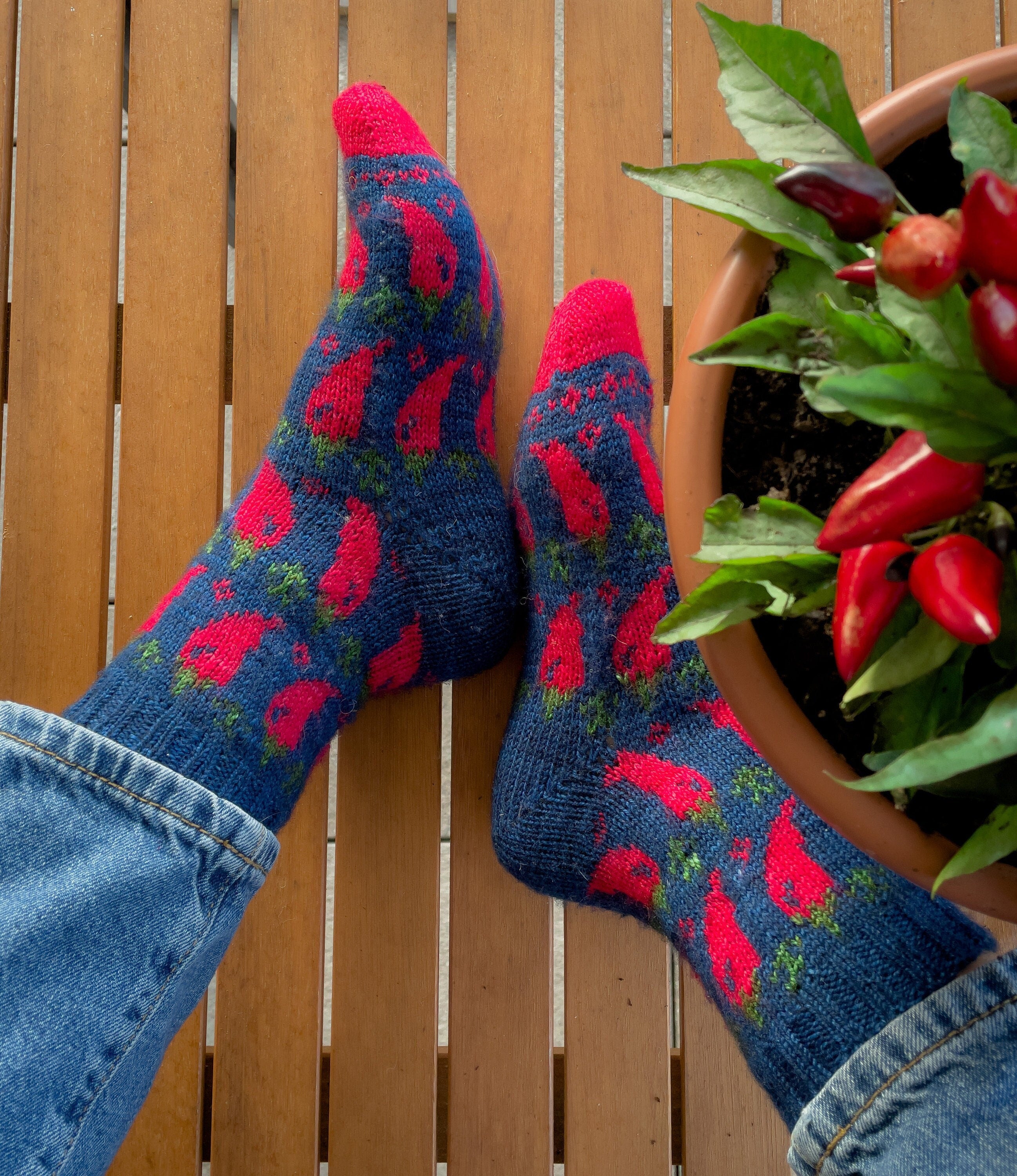 DIGITAL ITEM - Spicy socks knitting pattern PDF
