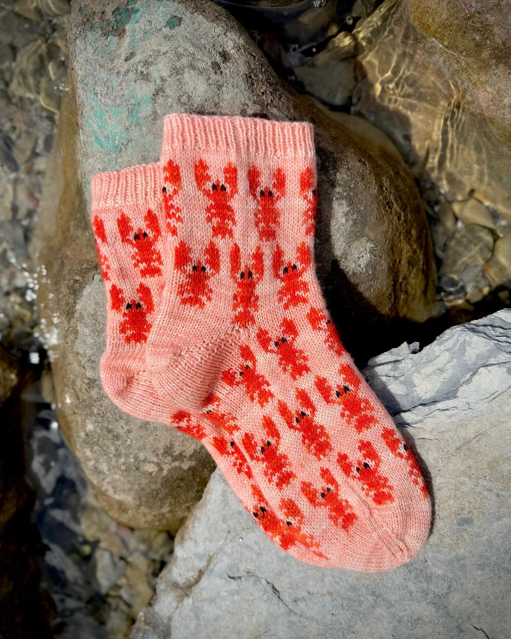 DIGITAL ITEM - Fishfolks Fancy sock set. PDF Knitting instructions
