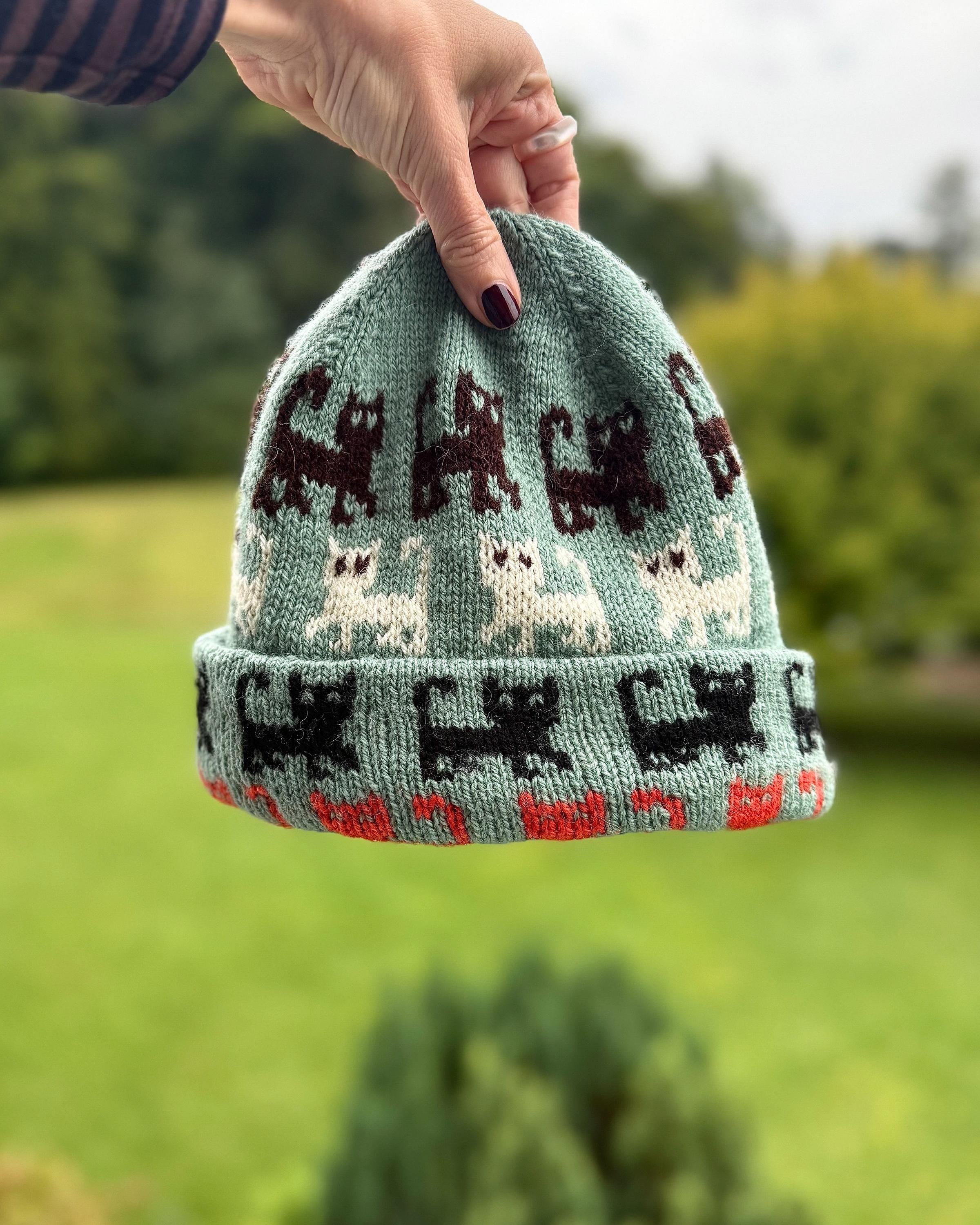 DIGITAL ITEM - Herding Cats Hat knitting pattern. 2 PDFS 1 in English and 1 in German