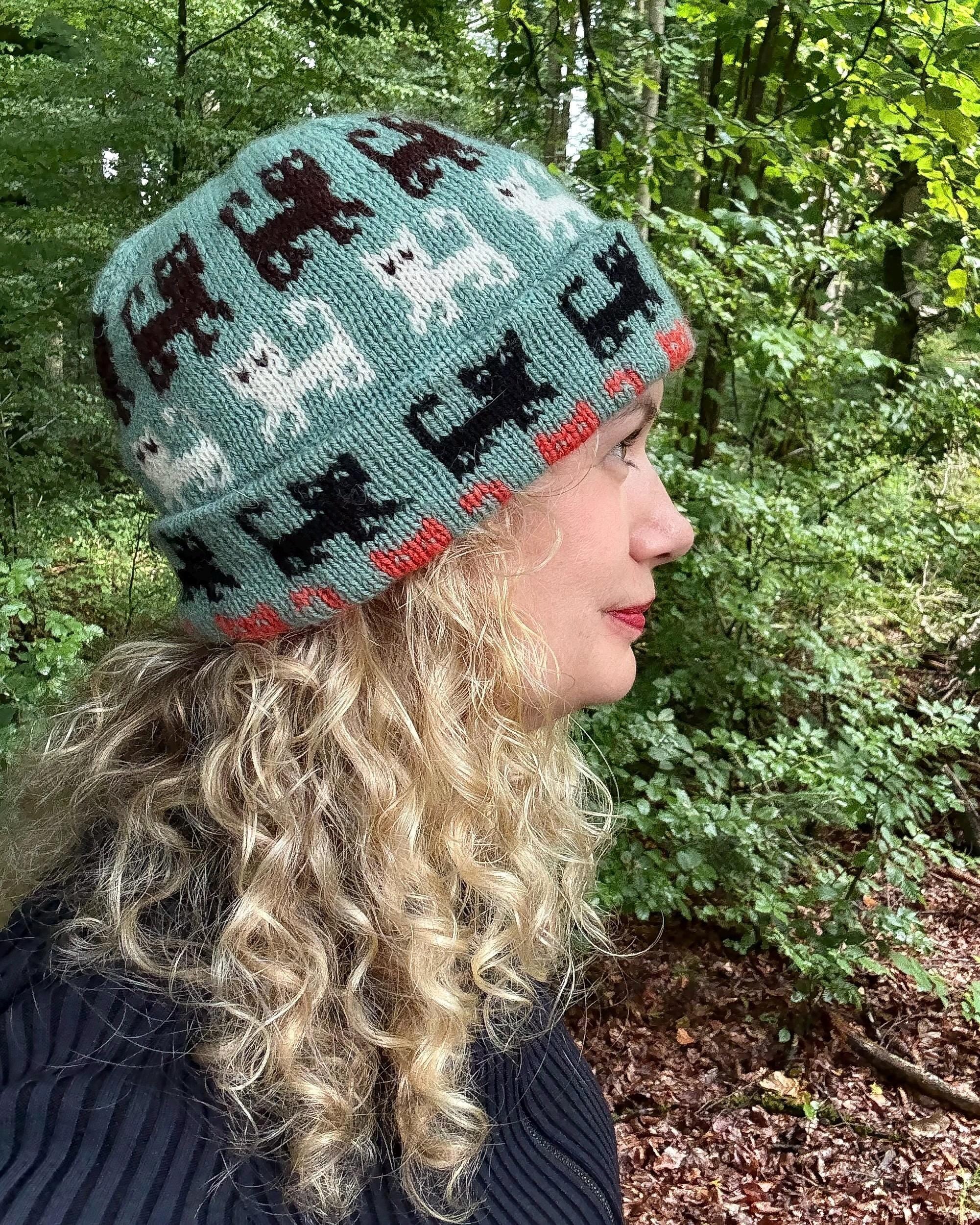 DIGITAL ITEM - Herding Cats Hat knitting pattern. 2 PDFS 1 in English and 1 in German