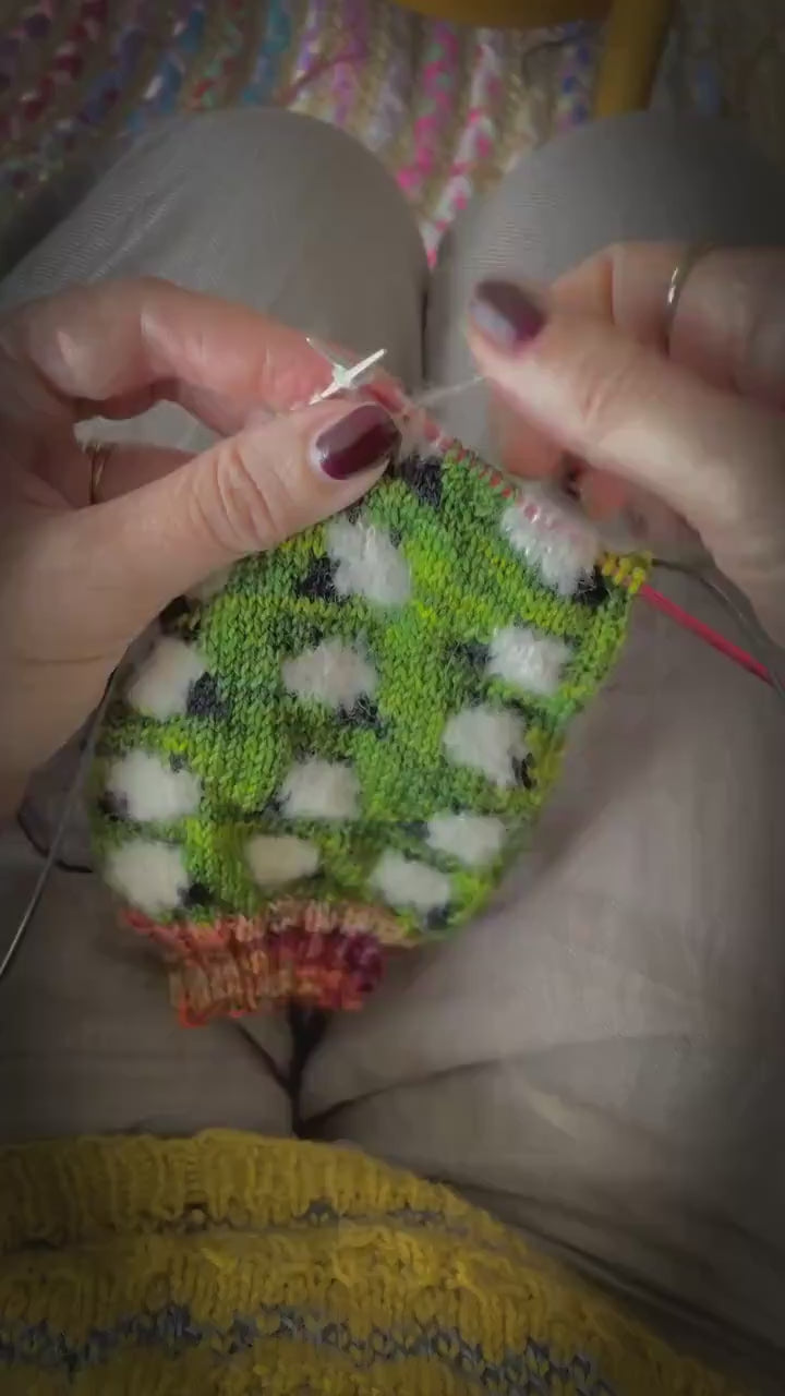 DIGITAL ITEM Counting Sheep socks