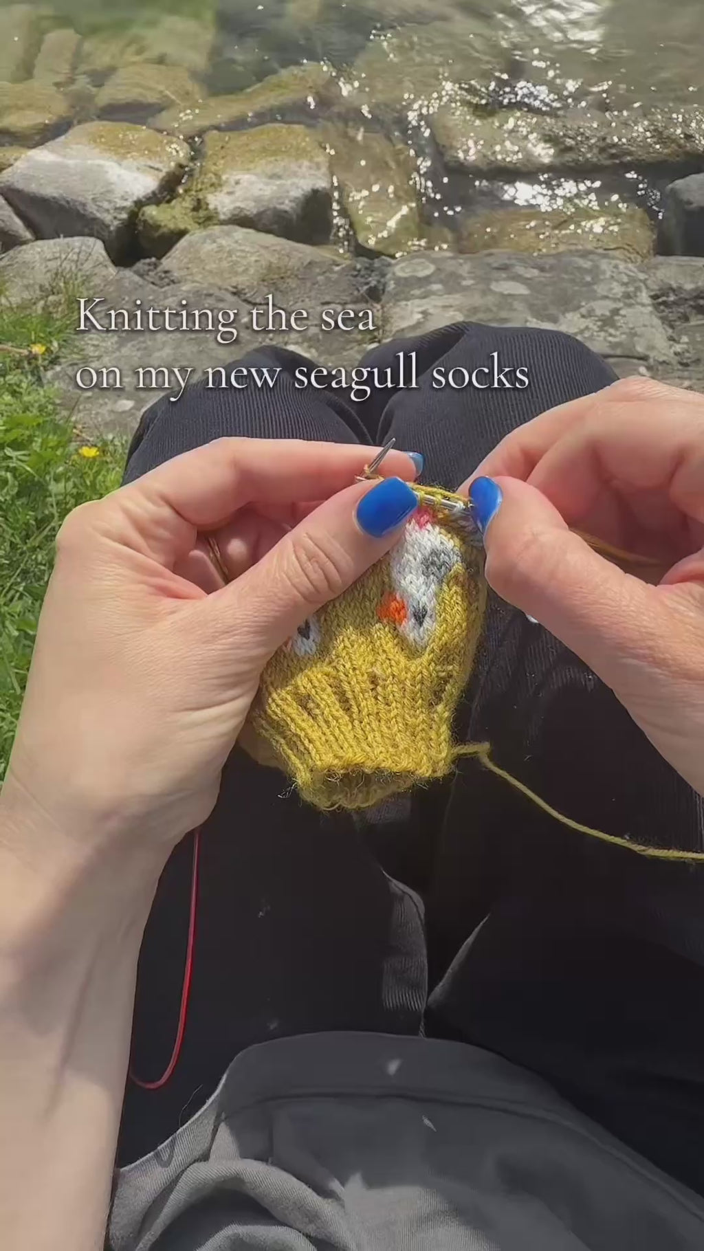 I Do Like To Be Beside the Seaside sock set