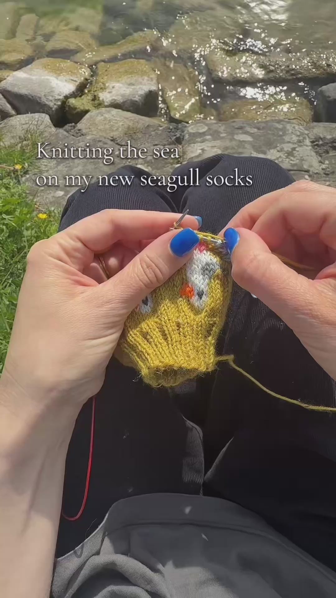 I Do Like To Be Beside the Seaside sock set